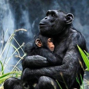 Meet your Posher, Ginette